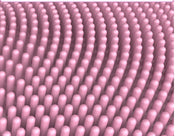 Mosecare Electric Waterproof Facial Cleanser – 5-Speed Ultrasonic Rotating Face Cleaning Brush