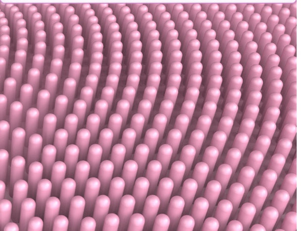 Mosecare Electric Waterproof Facial Cleanser – 5-Speed Ultrasonic Rotating Face Cleaning Brush